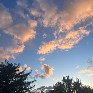 Meet your Posher, Fiona